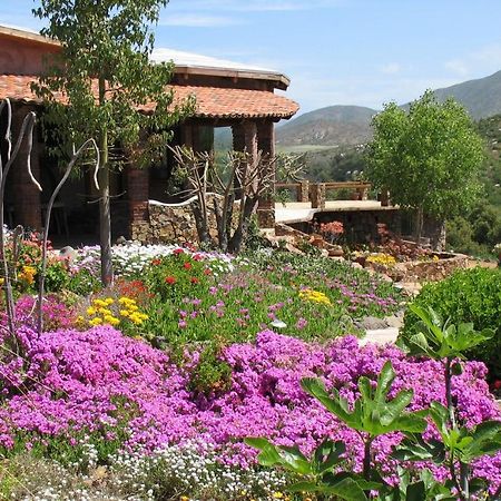 Quinta Maria En La Ruta Del Vino Acomodação com café da manhã Valle de Guadalupe Exterior foto