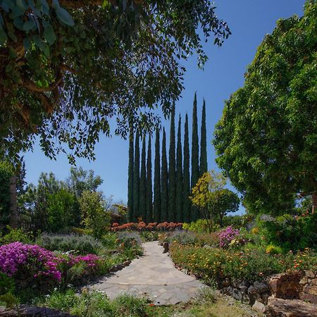 Quinta Maria En La Ruta Del Vino Acomodação com café da manhã Valle de Guadalupe Exterior foto