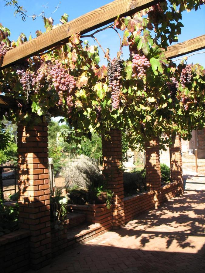 Quinta Maria En La Ruta Del Vino Acomodação com café da manhã Valle de Guadalupe Exterior foto