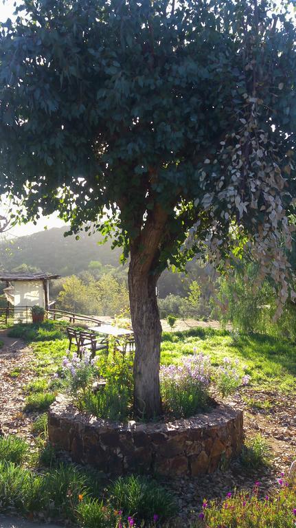 Quinta Maria En La Ruta Del Vino Acomodação com café da manhã Valle de Guadalupe Exterior foto